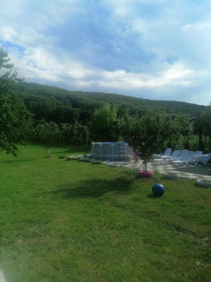 Casa Amaya Appart hôtel Bacău