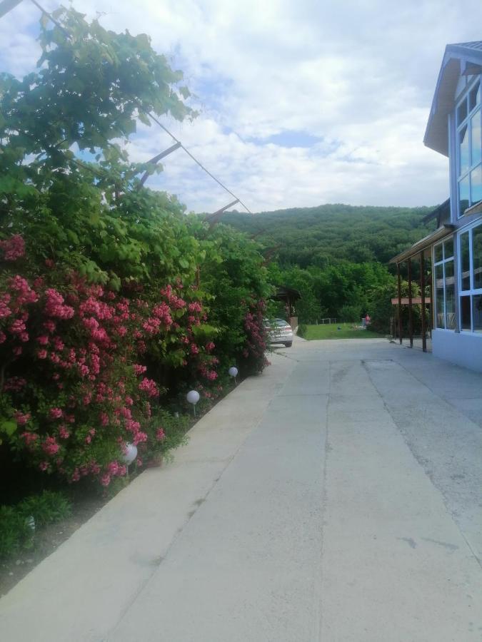 Casa Amaya Bacău